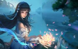 《穿梭武林》碎梦职业如何样 穿越武林武功搭配